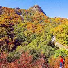 八仙山自然保护区