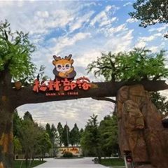 杉林部落亲子乐园