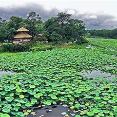 汀江国家湿地公园（三洲湿地公园）