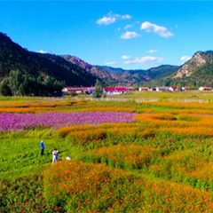 花乡果巷特色小镇