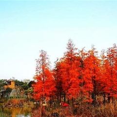 汉川田水湾