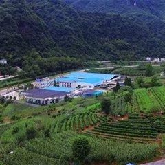 长阳鲟龙生态园