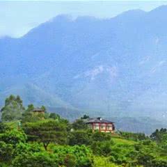 福友生态农场