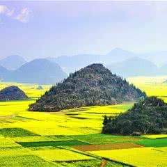 金鸡峰丛