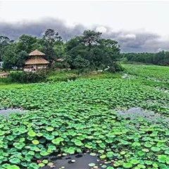 汀江国家湿地公园(三洲)