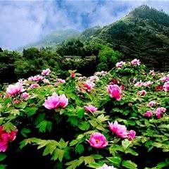 恺之峰旅游区