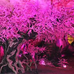 桃花岩