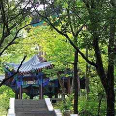太室山
