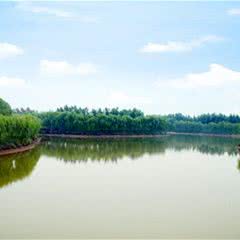 黄河富景生态园