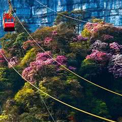 金佛山北坡景区