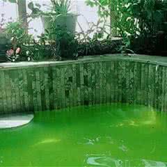 金浪屿玉洋温泉
