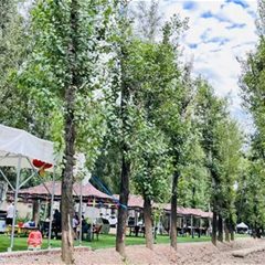 彼得堡亲子乐园露营基地