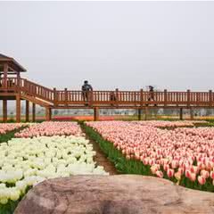 五彩大地观光休闲旅游区