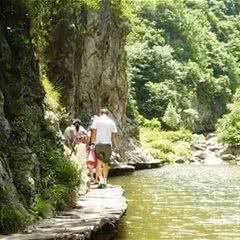 养子沟