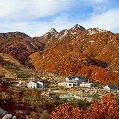 大连歇马山森林公园