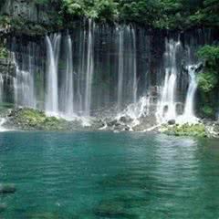 湖北三峡竹海