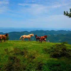百里荒生态旅游区