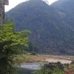 箬寮原始林