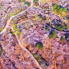 超山