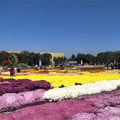 新疆农业博览园