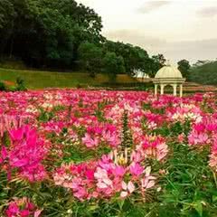 广州二龙山花园