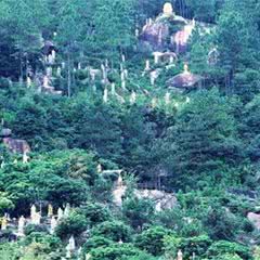 莲花罗汉山