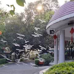 三水森林公园