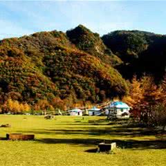 六盘山国家森林公园