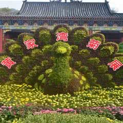 黄家湾风景区