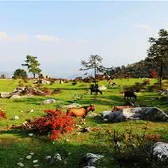 重庆千野草场景区