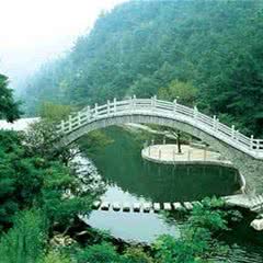 九龙山国家森林公园