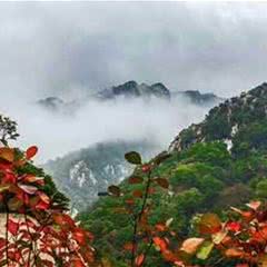 洛阳花果山