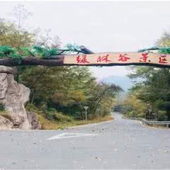 绿林谷景区