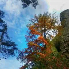 石柱山风景区