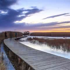 居延海