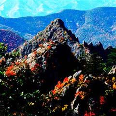 马鞍山国家森林公园