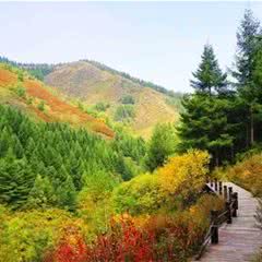 苏木山