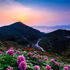 华夏牡丹园