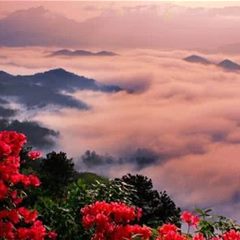 薄刀峰