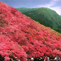 云雾山