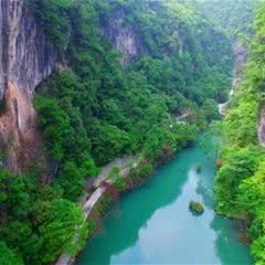 中亚楠木林景区