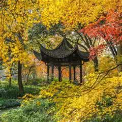 杭州植物园