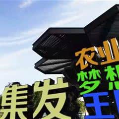 北戴河集发梦想王国