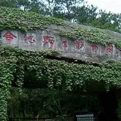 野生动物园