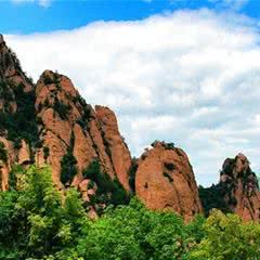 茅荆坝森林公园