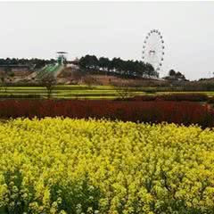 花海乐园
