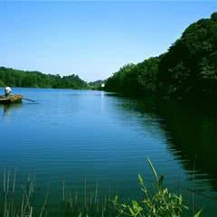 赤水竹海国家森林公园
