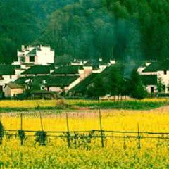 婺源瑶湾景区
