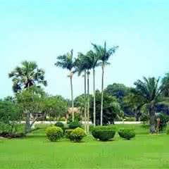 南亚热带植物园