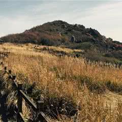 野三坡白草畔景区